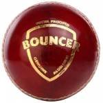 SG Bouncer Cricket Ball